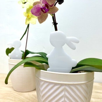Easter planter bunnies - set of 3